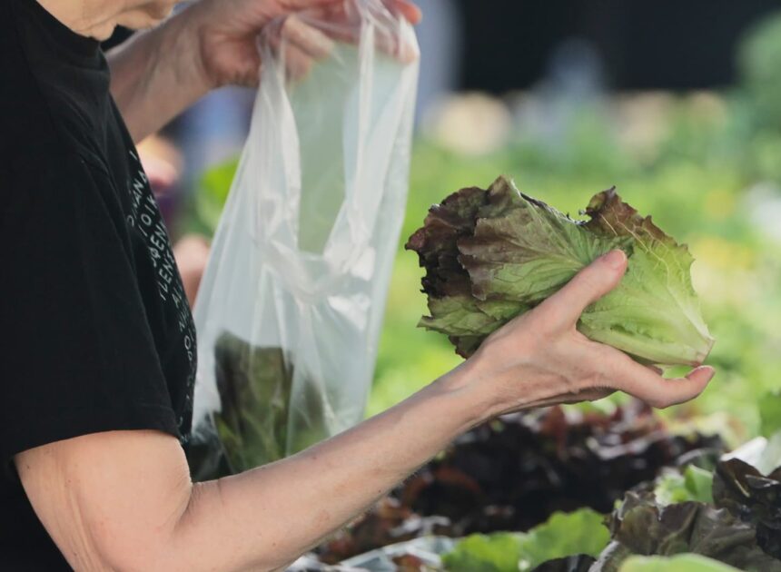 Cyclospora fears lead consumers to lose their appetite for salads