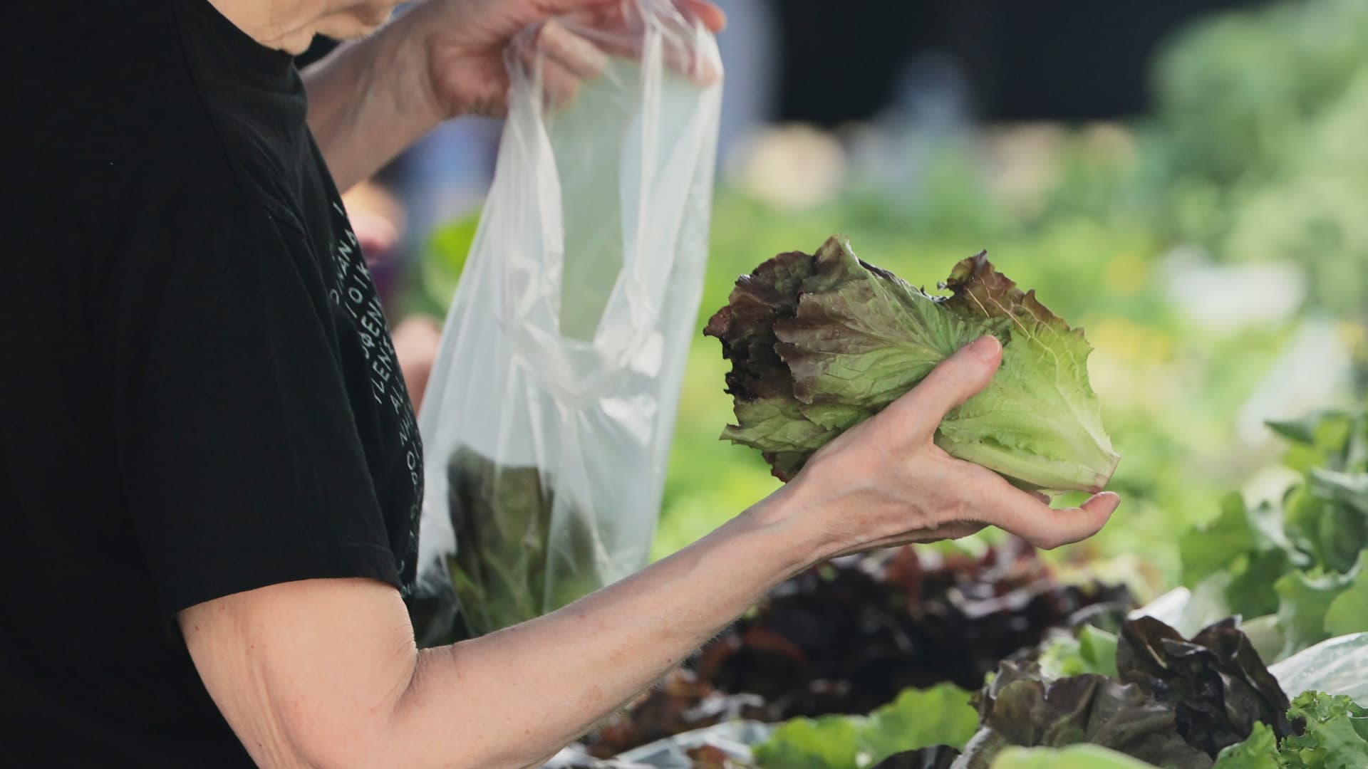 Cyclospora fears lead consumers to lose their appetite for salads